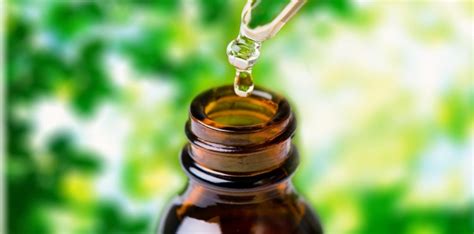 Get a 500ml bottle of Spring Water from the nearest supermarket. . How to make homeopathic mother tincture